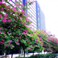 /photo/704417/行走人生/psb (1)_1_10_small.jpg